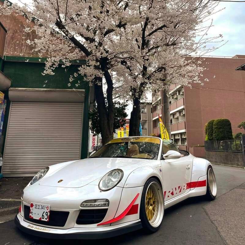 Jugendreise under cherry blossoms